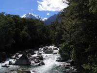 Albums/20060200-New Zealand 2006/20060210-Te Anau to Milford/24